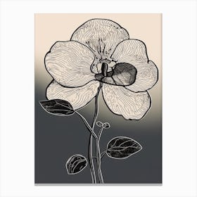 Line Art Orchids Flowers Illustration Neutral 11 Canvas Print