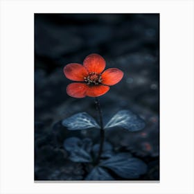 Red Flower 8 Canvas Print