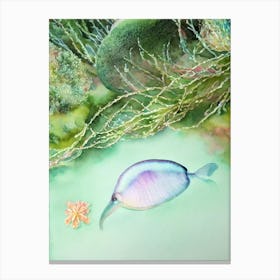 Jellynose Fish Storybook Watercolour Canvas Print