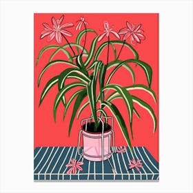 Pink And Red Plant Illustration Spider Plant 3 Canvas Print