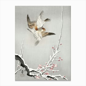 Sparrows And Snowy Plum Tree (1900 1936), Ohara Koson Canvas Print