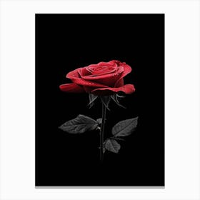 Black Rose 22 Canvas Print