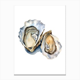 Watercolor Illustration Of Oysters Canvas Print