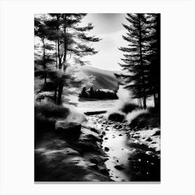 Infrared Photography 2 Canvas Print