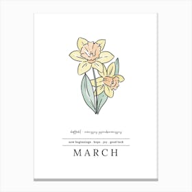 March Daffodil Birth Flower 2 Canvas Print