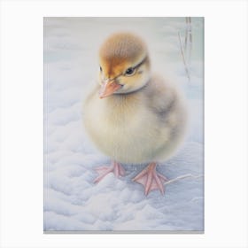 Icy Duckling Pencil Illustration 1 Canvas Print