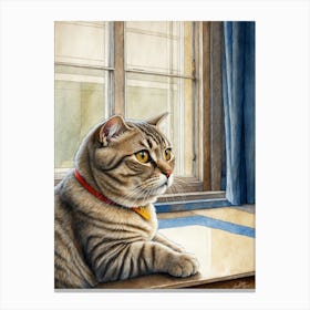 Cat By The Window 3 Canvas Print