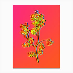 Neon European Buckthorn Botanical in Hot Pink and Electric Blue n.0557 Canvas Print
