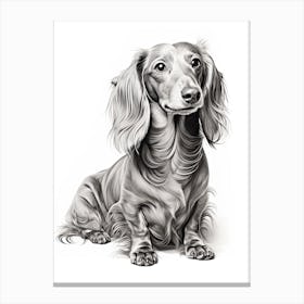 Dachshund Dog, Line Drawing 2 Canvas Print