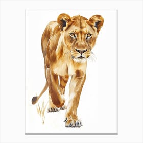 African Lion Lioness On The Prowl Clipart 3 Canvas Print