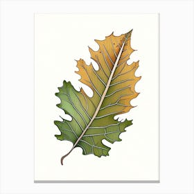 Oak Leaf Warm Tones 2 Canvas Print