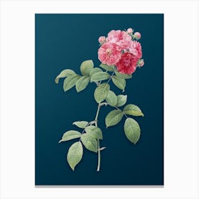 Vintage Seven Sisters Roses Botanical Art on Teal Blue n.0116 Canvas Print