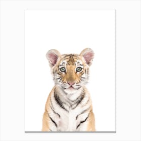 Baby Tiger Canvas Print