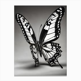 Butterfly 1 Canvas Print