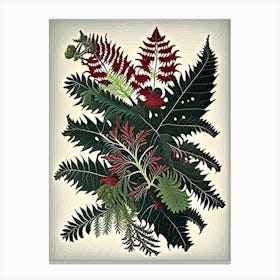 Japanese Holly Fern 1 Vintage Botanical Poster Canvas Print