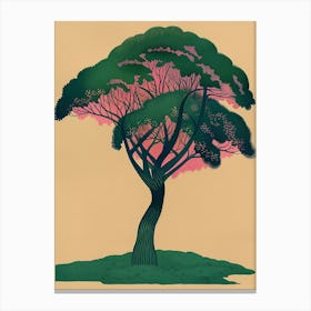 Acacia Tree Colourful Illustration 3 Canvas Print