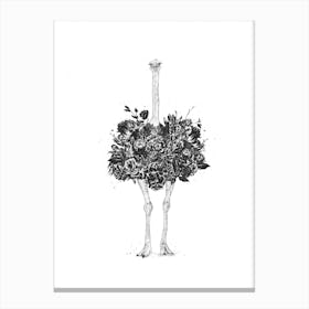 Floral Ostrich Canvas Print