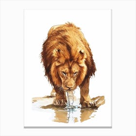 Barbary Lion Water 2 Canvas Print