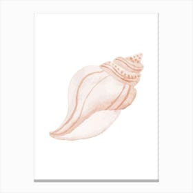 Pink Seashell 2 Canvas Print