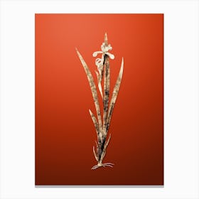 Gold Botanical Yellow Banded Iris on Tomato Red n.2559 Canvas Print