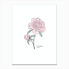 November Peony Birth Flower 1 Canvas Print