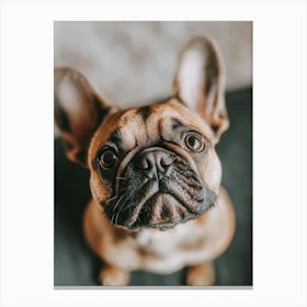 French Bulldog.Generated AI. Art Print 1 Canvas Print