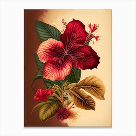 Hibiscus Spices And Herbs Retro Drawing 1 Canvas Print