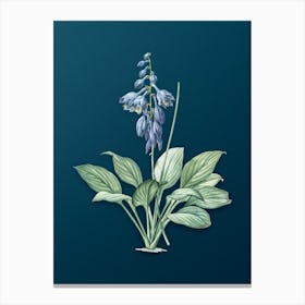 Vintage Daylily Botanical Art on Teal Blue n.0971 Canvas Print