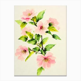 Cherry Blossom Vintage Flowers Flower Canvas Print