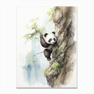 Panda Art Rock Climbing Watercolour 3 Canvas Print