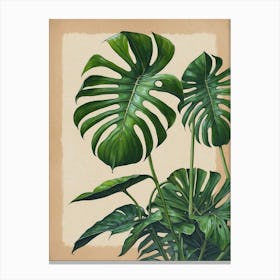 Monstera Ii Canvas Print Canvas Print