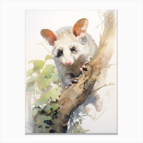 Light Watercolor Painting Of A Posing Possum 4 Canvas Print