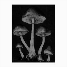 Black And White Mushroom Drawing Canvas Print