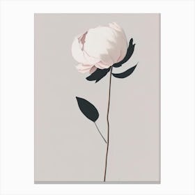 Peony Wildflower Simplicity Canvas Print