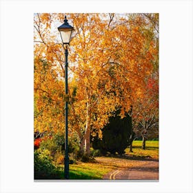 Autumn In The Park Canvas Print