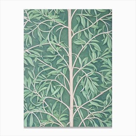 Pomelo Leaves Vintage Botanical Fruit Canvas Print