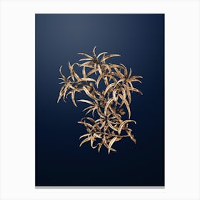 Gold Botanical Common Sea Buckthorn on Midnight Navy n.1135 Canvas Print