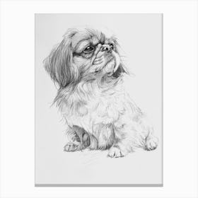 Pekingese Dog Line Sketch 4 Canvas Print
