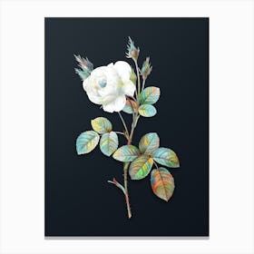 Vintage White Misty Rose Botanical Watercolor Illustration on Dark Teal Blue n.0930 Canvas Print