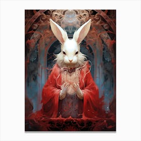 Rabbit In Red Robe Canvas Print