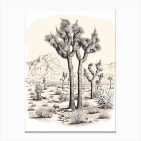  Detailed Drawing Of A Joshua Trees At Dusk In Desert 4 Canvas Print