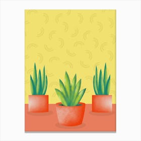 Three Potted Plants Canvas Print