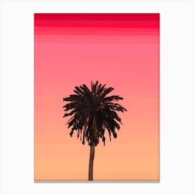 Palm Tree vibes Canvas Print