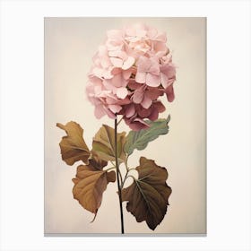 Floral Illustration Hydrangea 4 Canvas Print