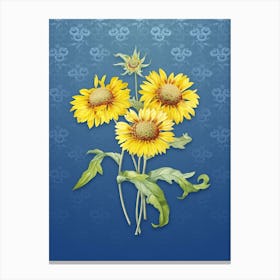 Vintage Blanket Flowers Botanical on Bahama Blue Pattern n.0249 Canvas Print