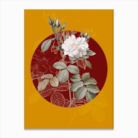 Vintage Botanical Autumn Damask Rose on Circle Red on Yellow n.0302 Canvas Print