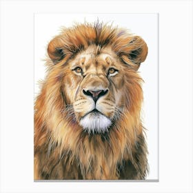 African Lion Portrait Close Up Clipart 3 Canvas Print