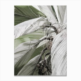 Green Jungle I Canvas Print