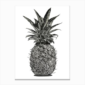 Black and White Pineapple Illustration 1 Canvas Print