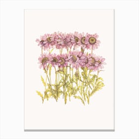 Flower II Canvas Print